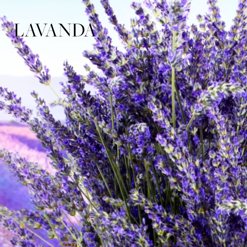 Set-Spa-Lavanda-Fragancia-y-Crema-Manos